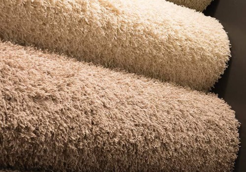 When is Carpeting a Poor Choice? - A Guide for Homeowners